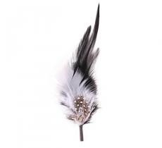 Hat Feather
