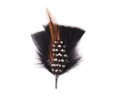 Hat Feather