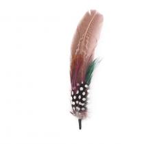 Feather duo